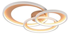 Trio T673810365 LED přisazené stropní svítidlo GRANADA | 36W integrovaný LED zdroj | 1x4300lm | 3000K | Trio - SwitchDimmer | hnědá