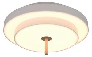 Trio T640210176 LED přisazené stropní svítidlo KEATON | 34W integrovaný LED zdroj | 1x4000lm | 2300+3000+4000K | Trio - SwitchDimmer | šedá