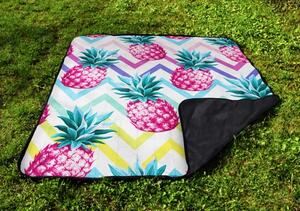 Pikniková deka pink pineapples