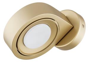 Argon 8899 - Nástěnné svítidlo LOTUS 1xGX53/12W/230V zlatá
