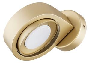 Argon 8899 - Nástěnné svítidlo LOTUS 1xGX53/12W/230V zlatá