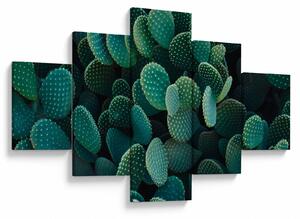 Obraz - Opuncie (125x70 cm)