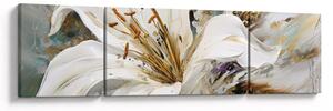 Obraz - Abstrakce s lilií (170x50 cm)