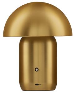 Nova Luce Zlatá kovová nabíjecí stolní LED lampa Pois