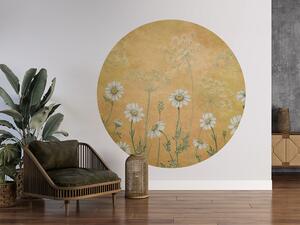FUGU Kruhová tapeta Žluté kopretiny – Dazzling Daisies Yellow Rozměr: kruh 40 cm