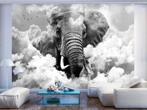Murando DeLuxe Tapeta slon v oblacích - černobílý 300x210 cm - vliesová