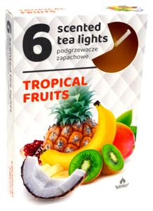 Čajové 6ks Tropical fruits vonné svíčky