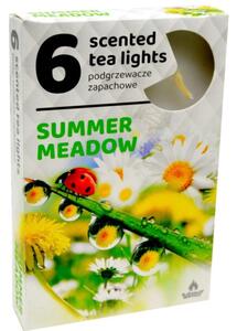 Čajové 6ks Summer Meadow vonné svíčky