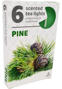 Čajové 6ks Pine vonné svíčky