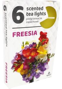 Čajové 6ks Fresia vonné svíčky