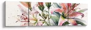 Obraz - Lilie, ilustrace (170x50 cm)