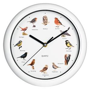 EASYmaxx Nástěnné hodiny s ptačími hlasy, Ø 25 cm (bílá) (100385705002)