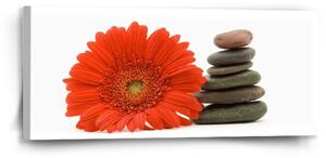 Sablio Obraz Gerbera s kameny - 110x50 cm