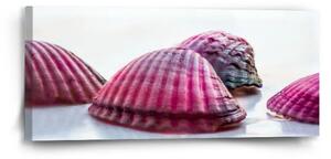 Sablio Obraz Mušličky - 110x50 cm