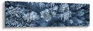 Obraz - Zasněžený les (170x50 cm)