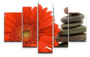 Sablio Obraz - 5-dílný Gerbera s kameny - 125x90 cm