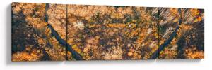 Obraz - Řeka ve tvaru srdce (170x50 cm)
