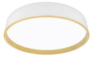 STROPNÍ LED SVÍTIDLO, 40/8 cm - Stropní svítidla