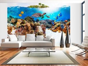 Murando DeLuxe Tapeta Korálové moře 250x175 cm - vliesová