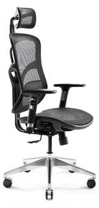 Ergonomická židle DIABLO V-BASIC: černá Diablochairs