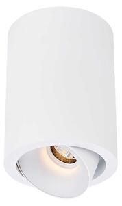 KARIZMA luce Dea Flora S LED přisazené svítidlo bílé 2700K