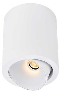 KARIZMA luce Dea Flora M LED přisazené svítidlo bílé 2700K