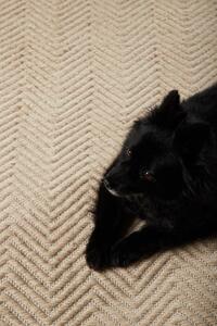 Obdélníkový koberec Loke, béžový, 230x160