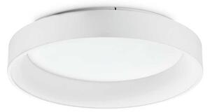 Ideal lux Ziggy LED kruhové stropní svítidlo bílé Ø595mm
