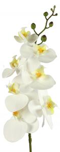 Orchidej Phalaenopsis bílá 83 cm