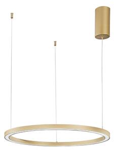 Faneurope HOOP LED kruhové svítidlo ZlatáØ60cm