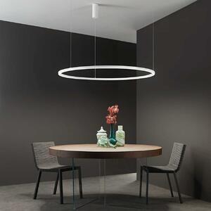 Faneurope HOOP LED kruhové svítidlo BíláØ120cm