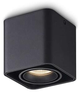 Curved Point LED přisazené svítidlo Ra>90 Bílá100mm