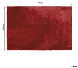 Koberec shaggy 200 x 300 cm červený EVREN