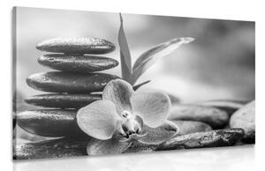 Obraz meditační Zen kompozice v černobílém provedení - 120x80 cm