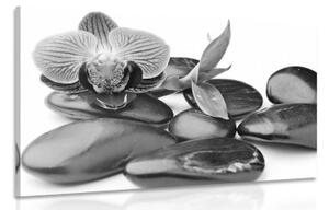 Obraz masážní wellness kameny v černobílém provedení - 120x80 cm