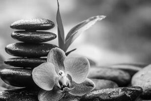 Obraz meditační Zen kompozice v černobílém provedení - 60x40 cm