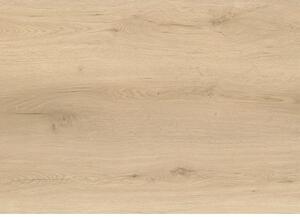 EBS Vinwood+ vinylová podlaha 18,3x122 nordic, click systém 1,79 m2