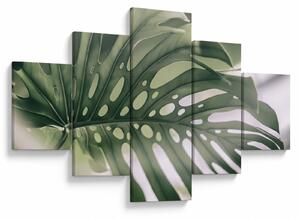 Obraz - List monstery (125x70 cm)