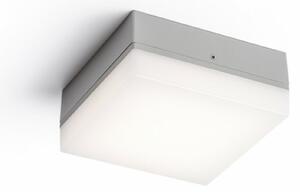 RED - DESIGN RENDL RENDL SPECTACLE přisazená stříbrnošedá 230V LED 5W IP54 3000K R11968