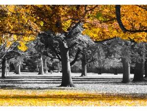 Malvis Obraz podzim v parku - žlutý 90x60 cm