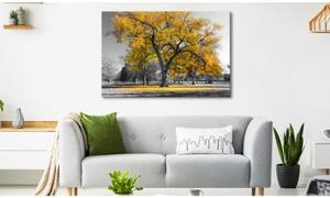 Malvis Obraz podzim v parku - žlutý 90x60 cm