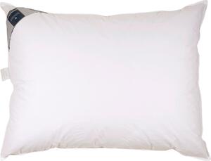 TŘÍKOMOROVÝ POLŠTÁŘ, 40/80 cm Billerbeck - Polštáře pod hlavu