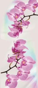 Vliesová fototapeta orchidej, rozměr 91 cm x 211 cm, fototapety IMPOL TRADE 116VE