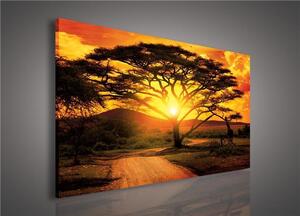 Obraz na plátně Austrálie při západu slunce 107O1, 100 x 75 cm, IMPOL TRADE