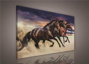 Obraz na plátně stádo koní 496O1, 100 x 75 cm, IMPOL TRADE