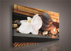 Obraz na plátně orchidej, svíčka 128O1, 100 x 75 cm, IMPOL TRADE