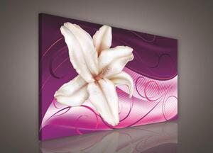 Obraz na plátně lilie na růžovém podkladu 278O1, 100 x 75 cm, IMPOL TRADE