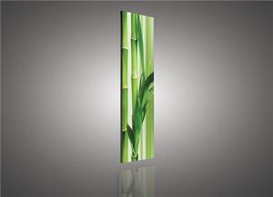 Obraz na plátně bambus 112O3, 145 x 45 cm, IMPOL TRADE