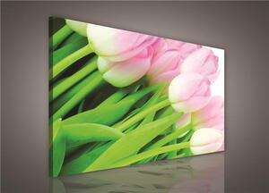 Obraz na plátně růžové tulipány 149O1, 100 x 75 cm, IMPOL TRADE