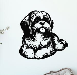 Dřevo života | Dřevěný obraz ležícího Shih Tzu | Rozměry (cm): 40x40 | Zvolte barvu dekoru: Černá